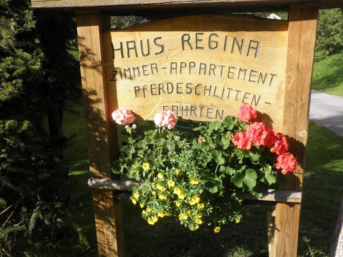 Ferienhaus Regina Верфенвенг Екстер'єр фото